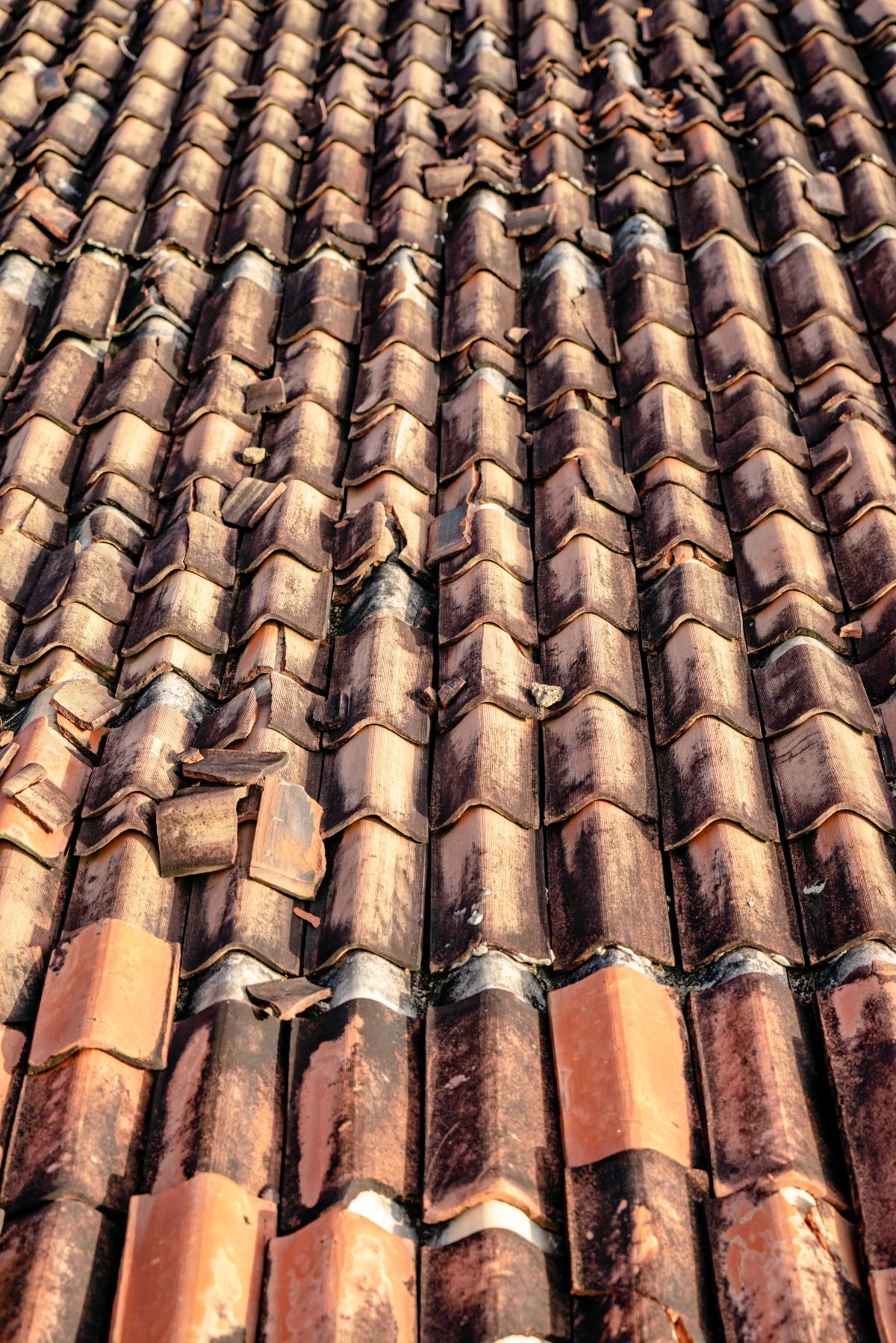 Broken and displaced terracotta tile pieces on a roof